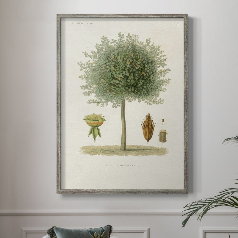 Arbre antique avec fruit X, reproduction encadrée - bois massif, H 11 po x l 9 po