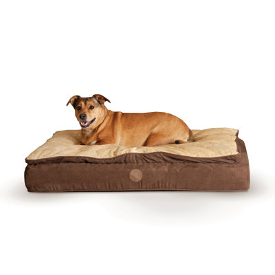 Coussin pour chien Feather