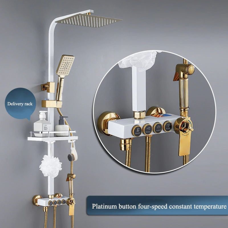 Douche de pluie noire matte avec contrôle thermostatique et jet multi-jets pour le corps