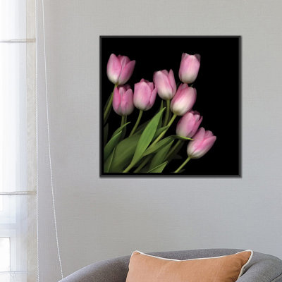" Soft Pastel Pink " by Magda Indigo