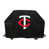 LMB Twins du Minnesota