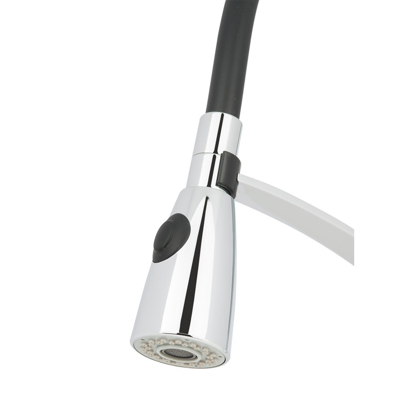 Ancona Pull Down Kitchen Faucet