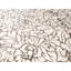 Hand-Knotted High-Quality Ivory Area Rug
