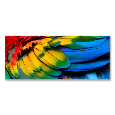 Rainbow Feathers Two Print