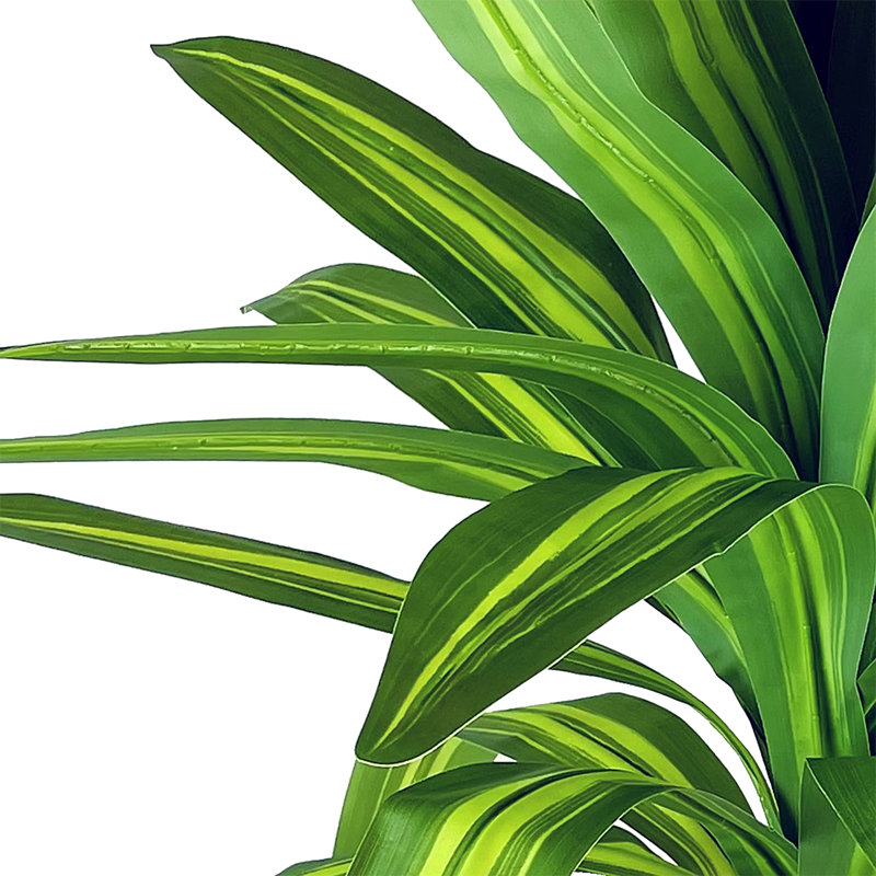 50'' Faux Dracaena Plant in Wicker/Rattan Basket
