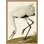 Oiseau 2 Framed Print