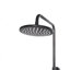 Mccarthy Mixer Shower with Dual Shower Head