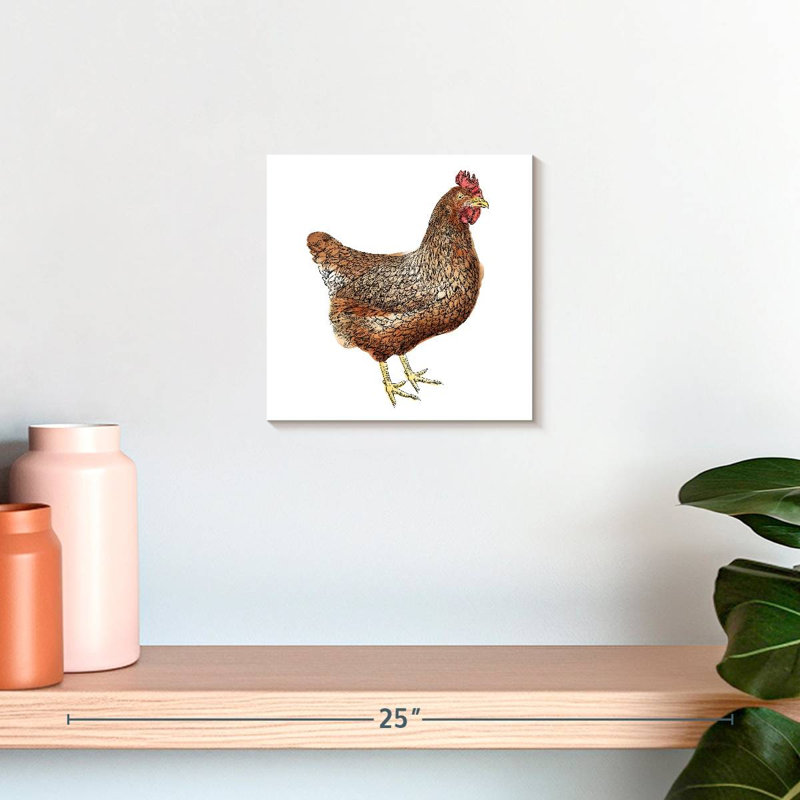 Poulet brun Crowle, H 10 po x l 10 po