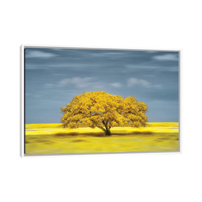Lonely Yellow On The Field by Glauco Meneghelli - Floater Frame Print on Canvas