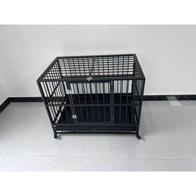 cage pour chien robuste