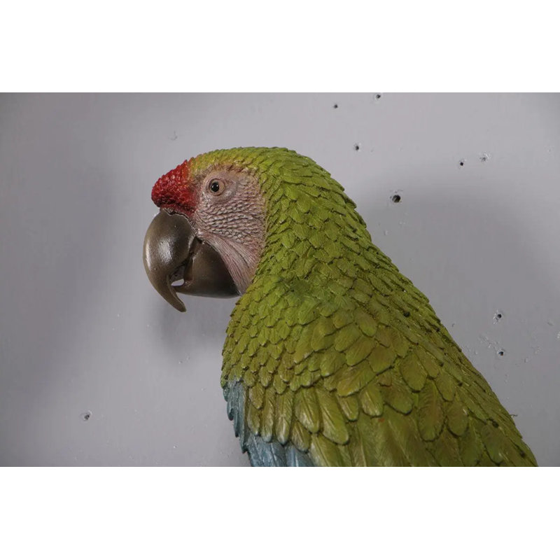 Statue taille réelle Macaw Buffon Lover Parrots