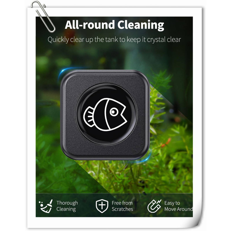 Eylin Aquarium Accessory