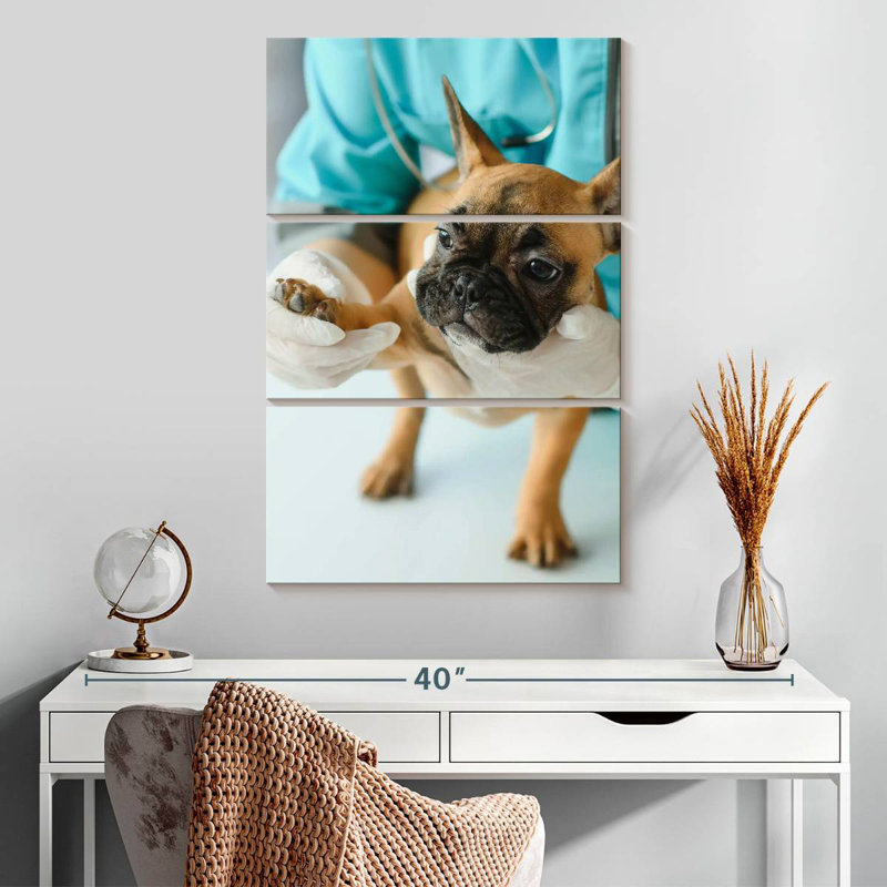 Pet Care, 32" H x 20" W