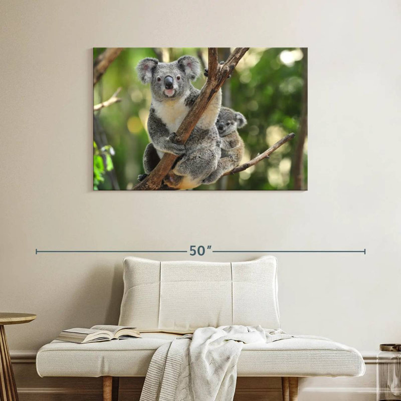 Australian Koala Bears, 26" H x 39" W