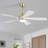 Damecia 52'' Modern Ceiling Fan with LED Light and Remote Control-123175728