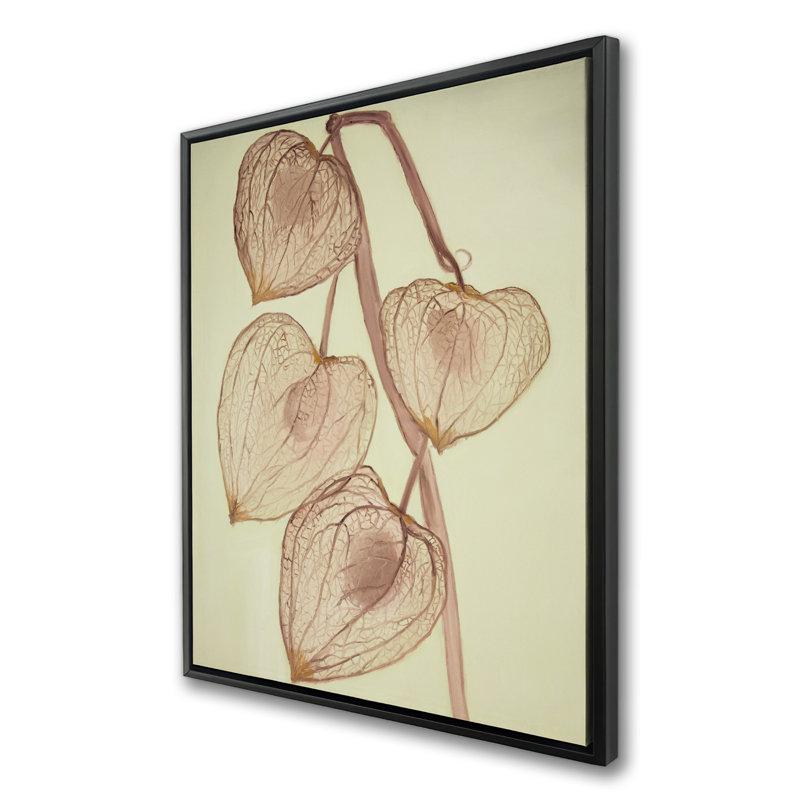 «Growing Ground Cherries», art sur toile encadré brun