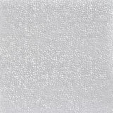 Shanko 2 ft. x 2 ft. Nail-Up Tin Ceiling Tile