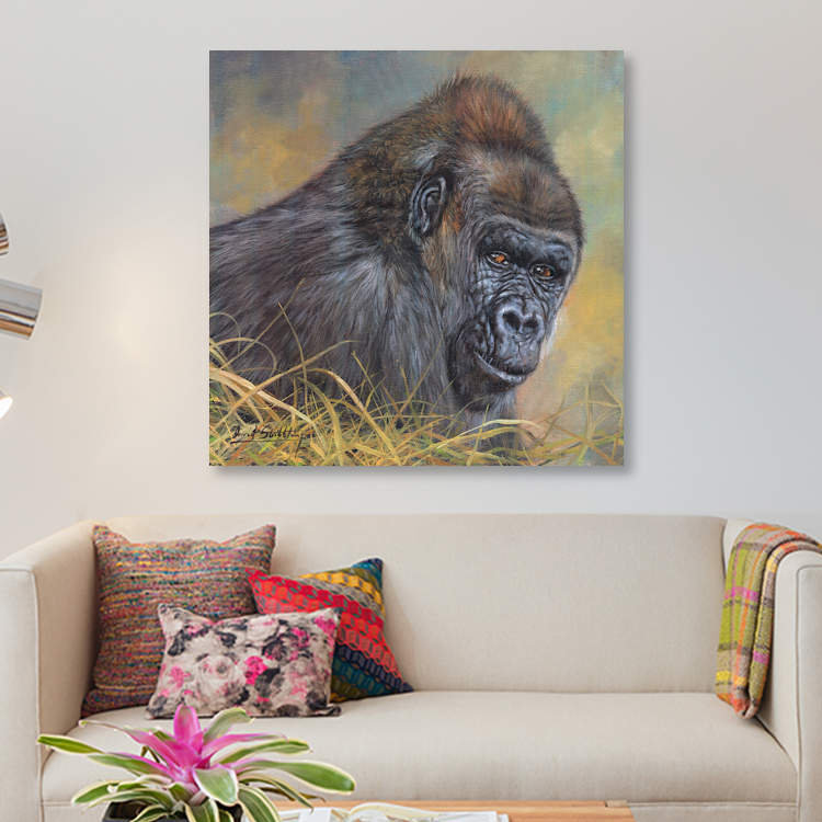 « gorilla », impression sur toile, H 12 po x l 12 po x P 0,75 po, Pas de tapis, Toile tendue
