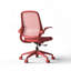 Fauteuil de bureau ergonomique et coloré 350LBS Home Office Mesh-1131969801-1131969800