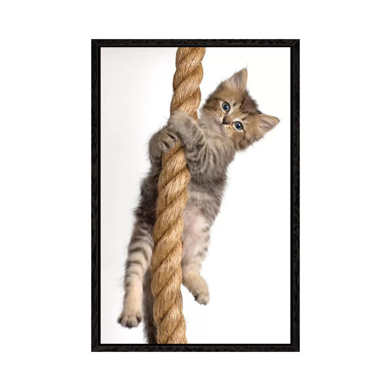 Eric 1 Piece Wall Art on Canvas, 66.04 cm H x 45.72 cm W, Black Framed