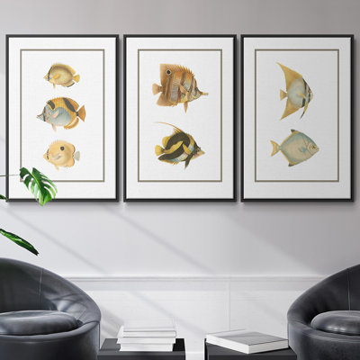 Ensemble de 3 pièces de poissons tropicaux antiques I encadrés sur toile