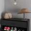 Armoire à chaussures moderne avec 2 portes rabattables, tiroir et tablette réglable, armoire de rangement pour chaussures 12 paires pour entrée, couloir, noir-262208913