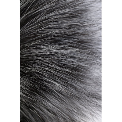 Abstract Fur Background by Vosmanius - Wrapped Canvas Print