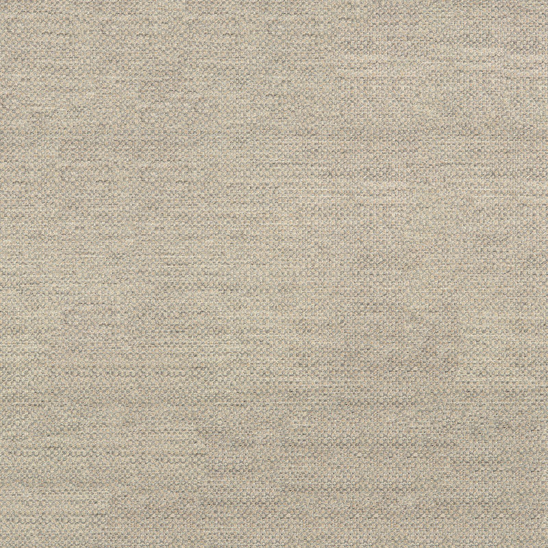 Tissu d'action Sunbrella Furniture, Frêne
