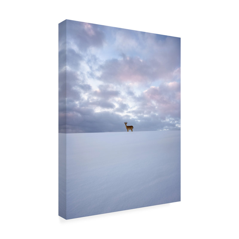 Art sur toile Christian Lindsten Alone, H 24 po x l 32 po