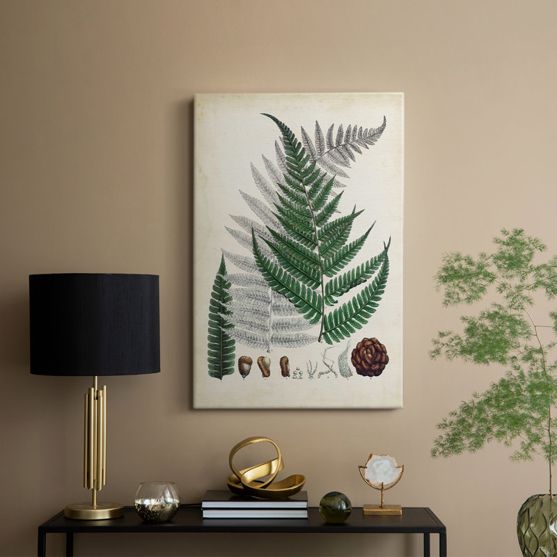Collectionner Ferns II - galerie sur mesure, H 60 po x l 40 po