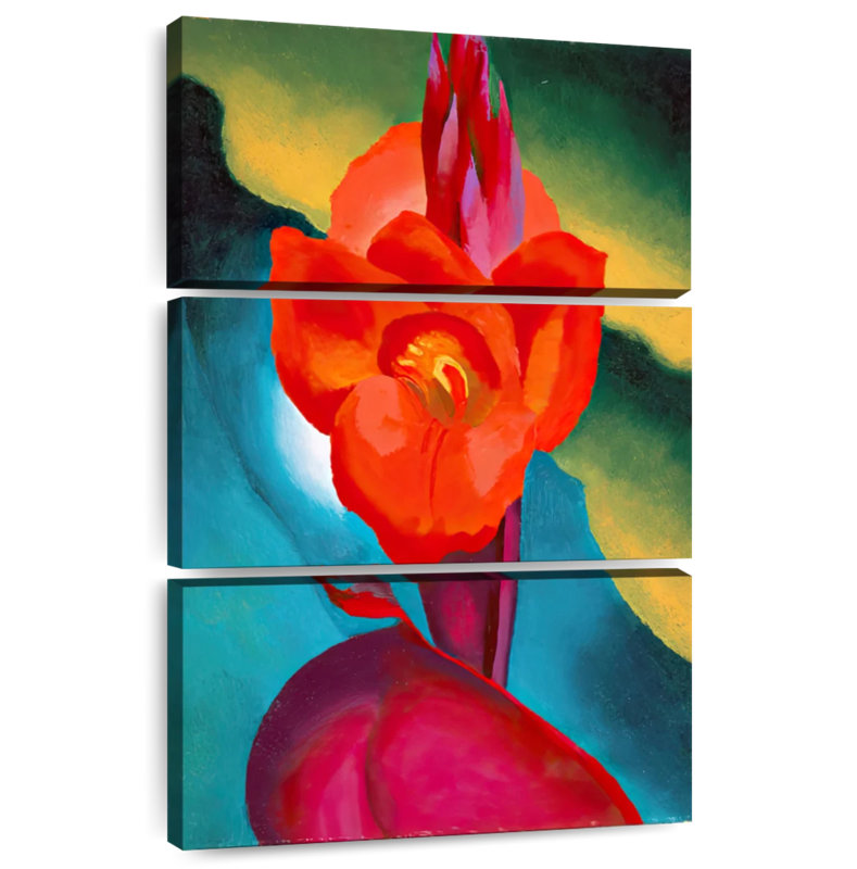 Harnek Red Canna 1919, H 65 po x l 42 po