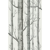 Wood & Shiplap Wallpaper Roll
