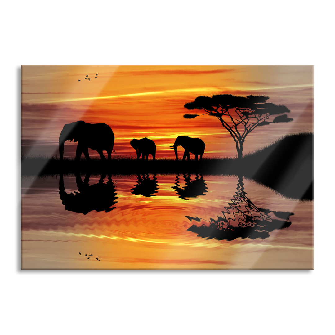 Ungerahmtes Foto auf Glas "African Elephant in Sunshine"