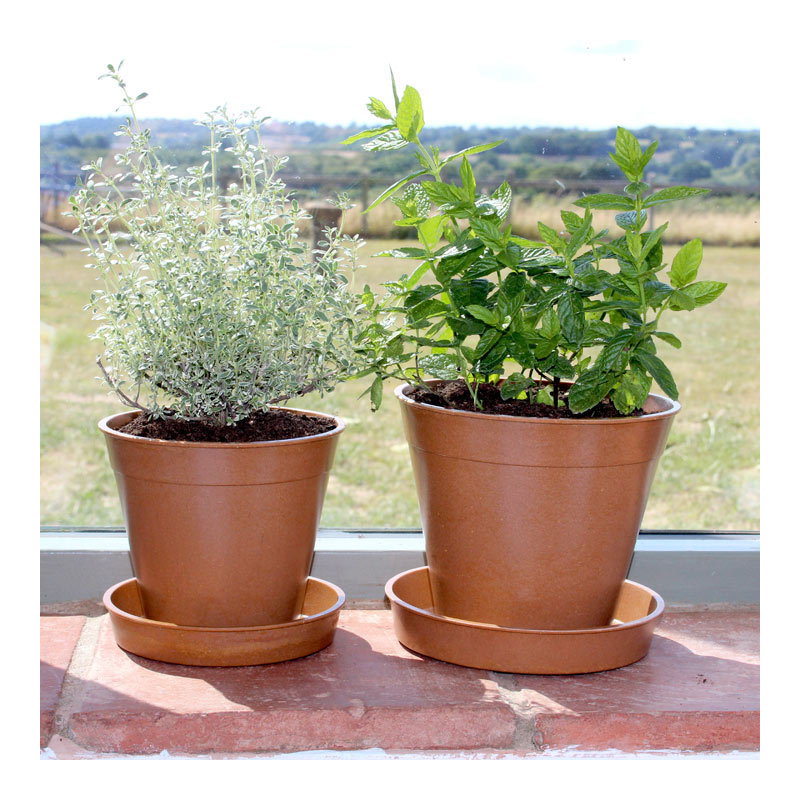 Smead Pot Planter