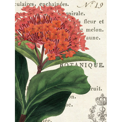 «Lantana Botany», impression sur toile tendue