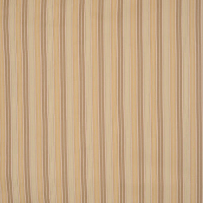 Tissu rayé Allure