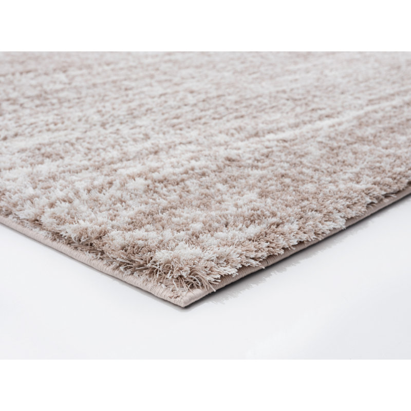 Tapis beige à poils longs Wadena, Rectangle 3 pi x 6 pi