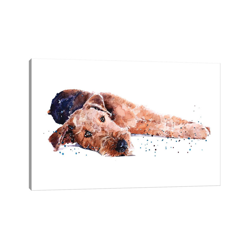 Airedale I by EdsWatercolours - Wrapped Canvas Gallery-Wrapped Canvas Giclée, 20.32 cm H x 30.48 cm W