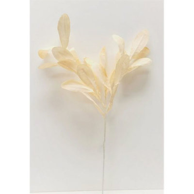 Fausse plante et arbres Champagne