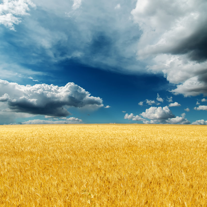 «Dramatic Sky» par Mycola - Photographie sur toile tendue, L 20 po x H 20 po