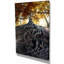 Reproduction de photo sur toile tendue-344156048