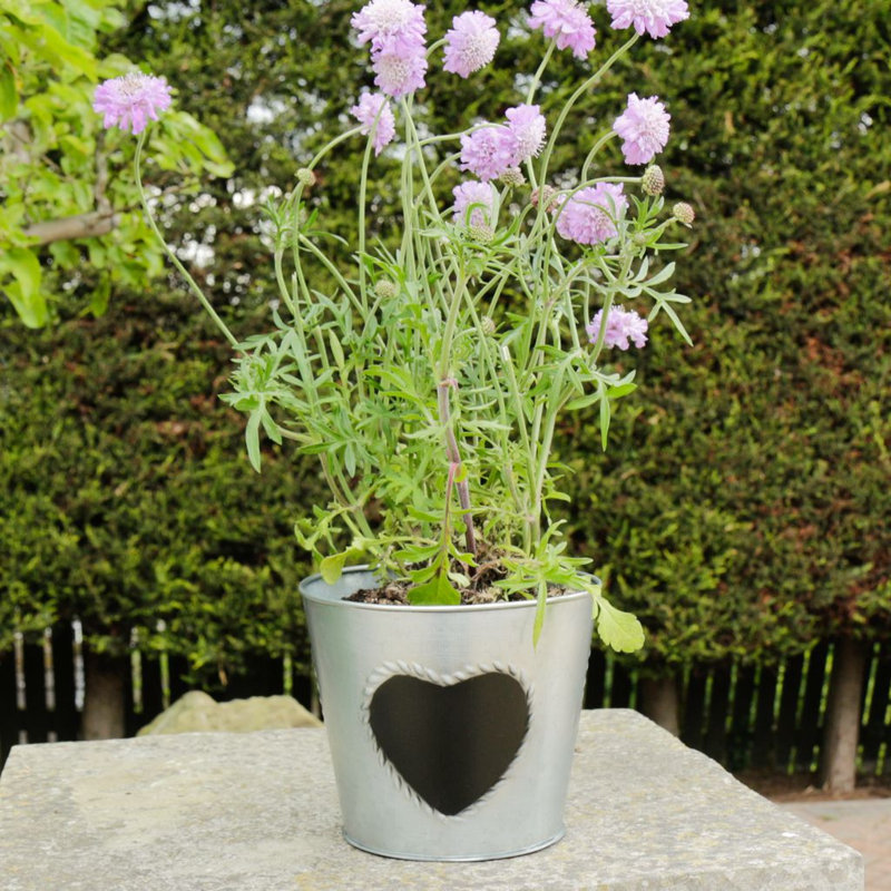 Nelda Metal Pot Planter