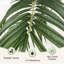 152cm Palm Plant