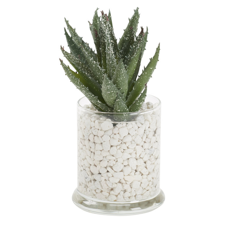 8'' Faux Succulent in Glass Decorative Vase