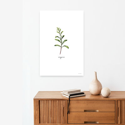 Oregano Herb Abstract Contemporary Art