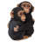 Chimpanzees Hugging Statue