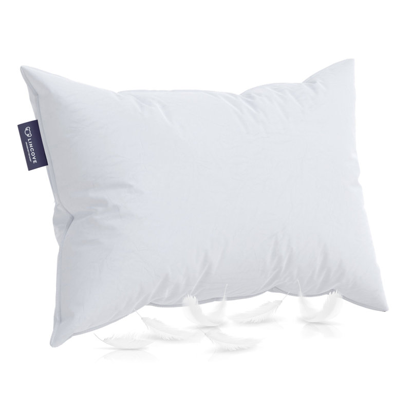 Coussins de lit en duvet et plumes de qualité supérieure - Collection Hotel Luxury - 100% coton - paquet de 1, Très grand lit