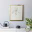 «Neutral Iris S croquis I», toile encadrée de qualité supérieure - prête à être accrochée-502118776-502118727