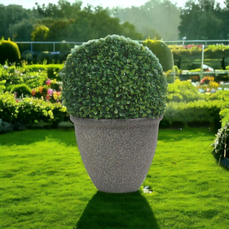 Delyth Pot Planter, Black Galaxy, 25 H x 25 W x 22 D cm