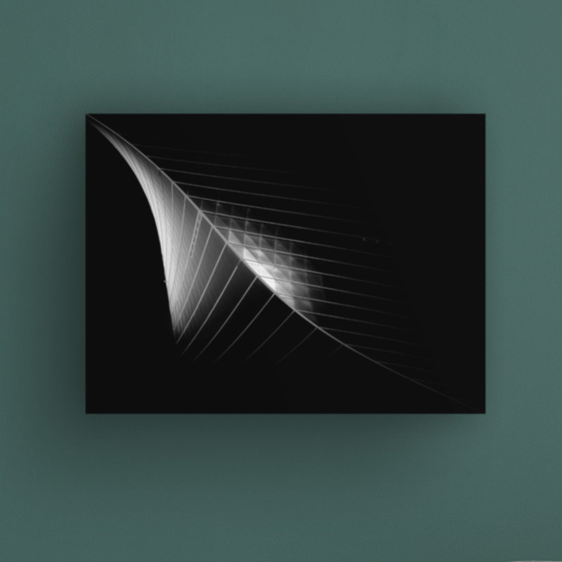 Scimitar 3 (The Eclipse) by Ahmed Thabet - Wrapped Canvas Photograph Print, 14" H x 19" W x 2" D